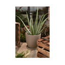 Vorschaubild Wikholm form Design Untersetzer Terrakotta grün ⌀ 19/23/28,5 cm