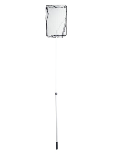 Oase Algenkescher groß