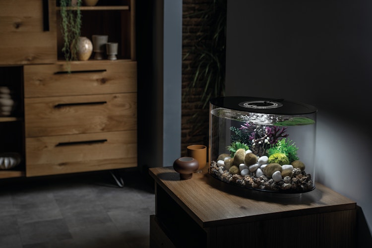 BiOrb Aquarium LOOP 15 LED