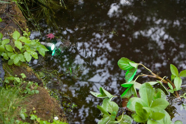 Heissner SMART LIGHT Spot, 3W, RGB, Metall (L433-00)