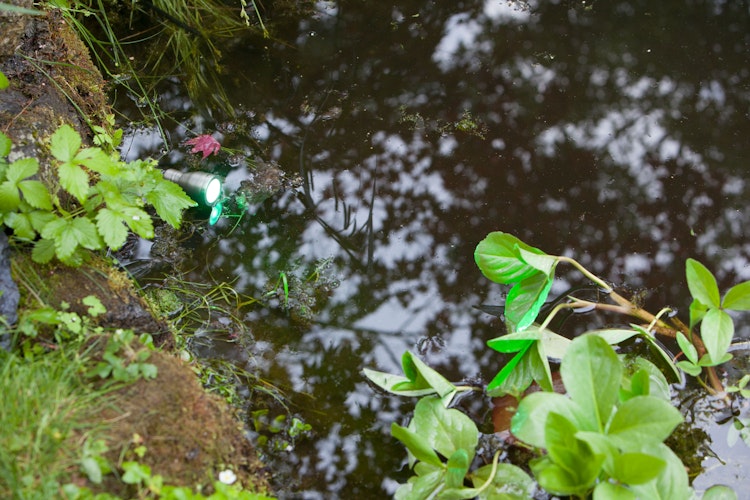 Heissner SMART LIGHT Spot, 3W, RGB, Metall (L433-00)