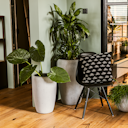 Vorschaubild Klocke Design Blumentopf Betonoptik 2er Set ⌀ 32 cm x H 52 cm, 43 cm x H 69 cm