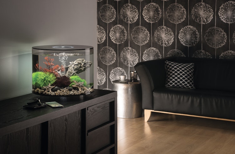 BiOrb Aquarium TUBE 35 LED