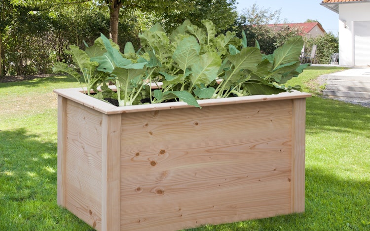 BM TYP 523 Hochbeet 106 x 65 x 60 cm, Douglasie natur