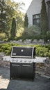Vorschaubild Weber Gasgrill SUMMIT FS38 E