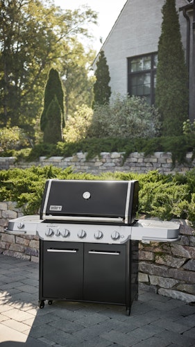 Weber Gasgrill SUMMIT FS38 E