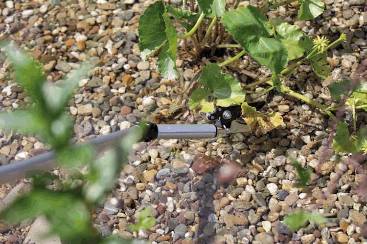 Oase Teichschere FlexiCut 2 in 1