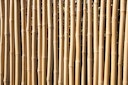 Vorschaubild TraumGarten Bambu 89x179/89 cm