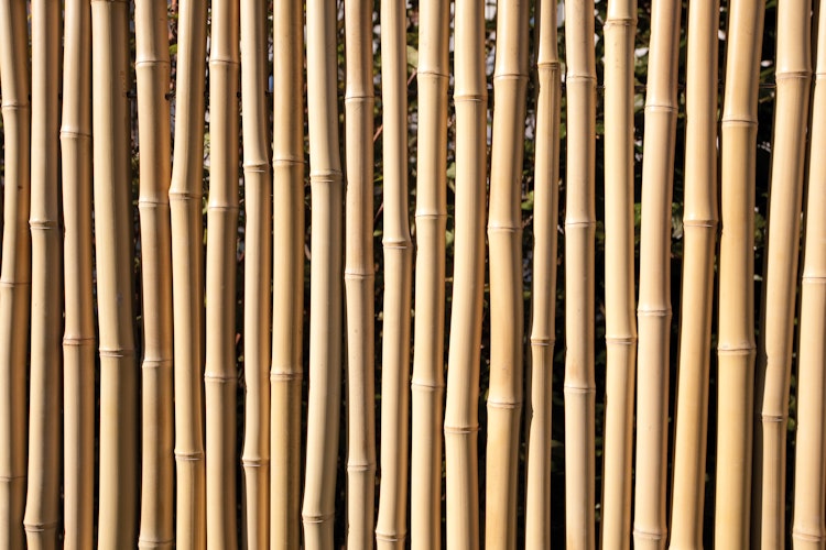 TraumGarten Bambu 89x179/89 cm