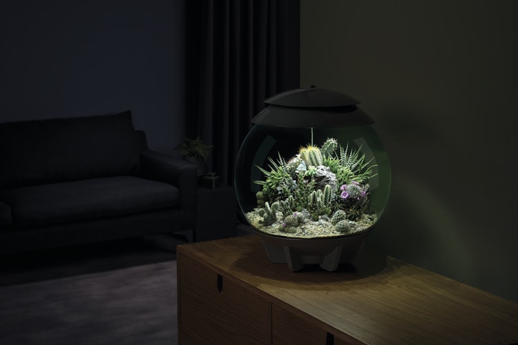 biOrb AIR Filterpatrone (46149)