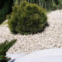 Vorschaubild Noor Unkrautblocker weiß 105 gr/m² 0,90 x 10 m