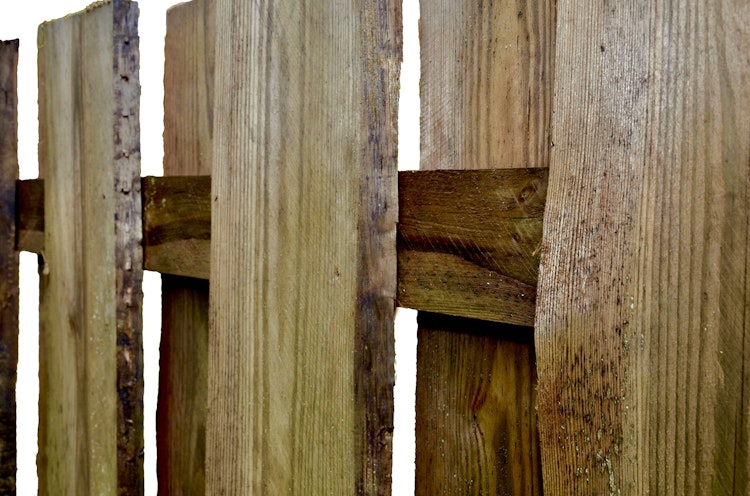 T&J SEELAND-Serie Sichtschutz 180x150 cm