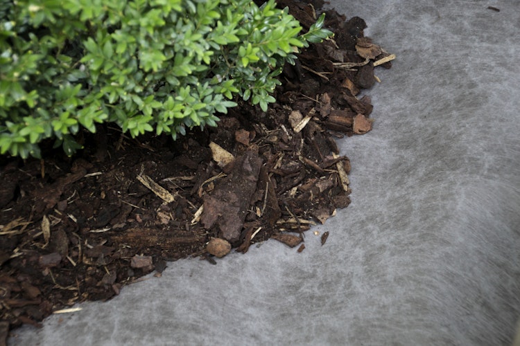 NOOR Unkrautvlies GOLD PES/PP 125 g/m² Made in Germany