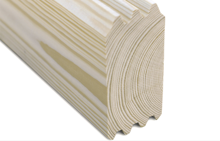 Skan Holz 70 mm Blockbohlenhaus Toronto 4