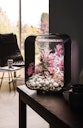 Vorschaubild BiOrb Aquarium LIFE 15 LED