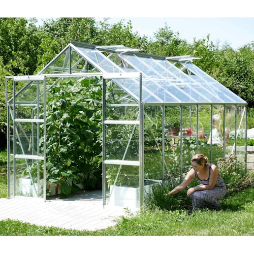 Vitavia Gewächshaus Uranus 11500 inkl. 4 Dachfenstern - 11,5 m²