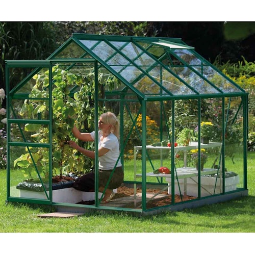 Vitavia Gewächshaus Venus 5000 inkl. 1 Dachfenster - 5,0 m²