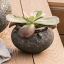 Vorschaubild Vosteen Design Blumentopf / Pflanzgefäß Terrakotta schwarz ø 23 cm x H 16 cm