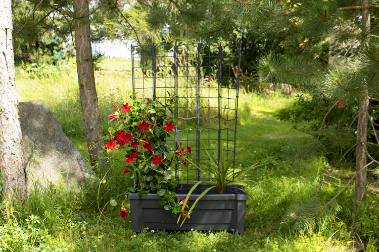 KHW Calypso Pflanzkasten auf Rollen mit Bewässerungssystem + modularem Spalier