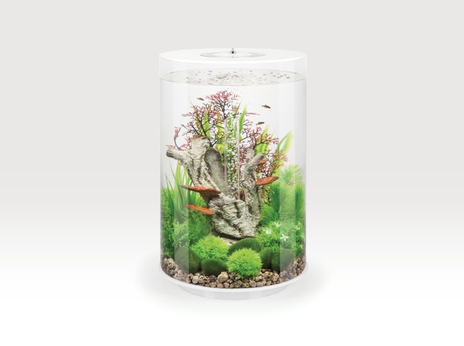 BiOrb Aquarium TUBE 30 MCR