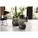 Vorschaubild Vosteen Design Blumentopf /  Pflanzgefäß Terrakotta schwarz ø 30 cm x H 18 cm