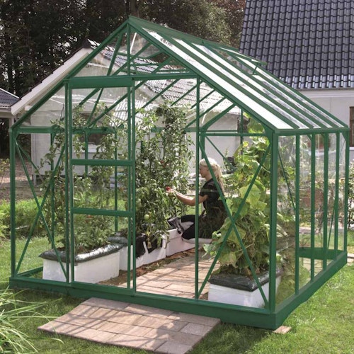 Vitavia Gewächshaus Merkur 8300 inkl. 2 Dachfenstern - 8,3 m²