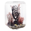 Vorschaubild BiOrb Aquarium LIFE 45 MCR