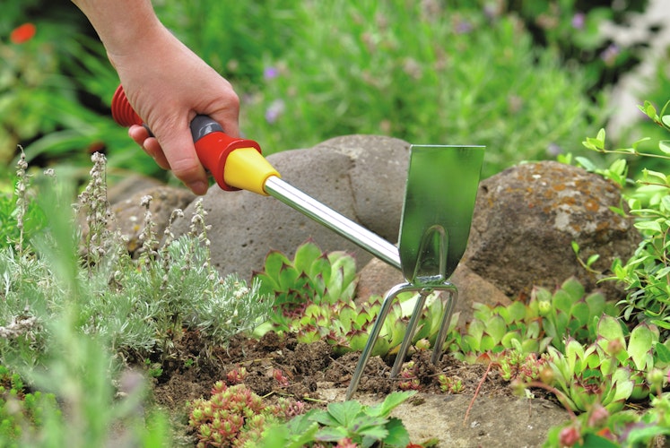 WOLF-Garten Doppelhacke LN-2K 