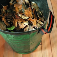 Noor Gartensack Profi