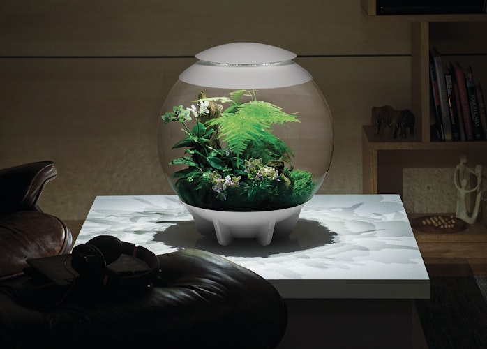BiOrb Terrarium AIR 60