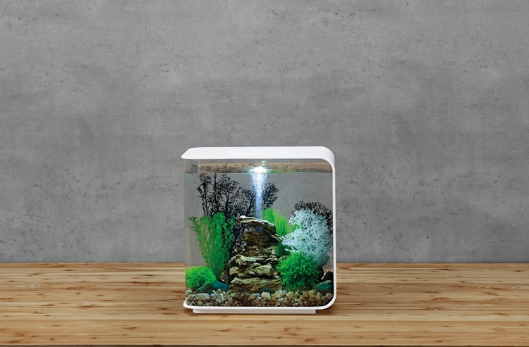 BiOrb Aquarium FLOW 30 LED