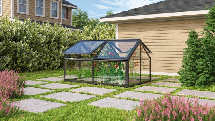 Vitavia Frühbeet Zola mit 4 Dachfenstern  B 124 x T 89 x H 71 cm