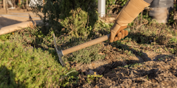 Restberry´s Doppelhacke - groß - 1-zinkigZubehörbild