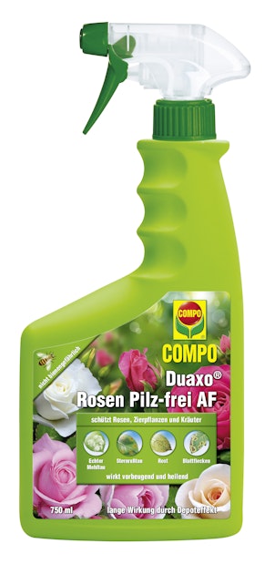 COMPO Duaxo Rosen Pilz-frei AF (750 ml) online kaufen