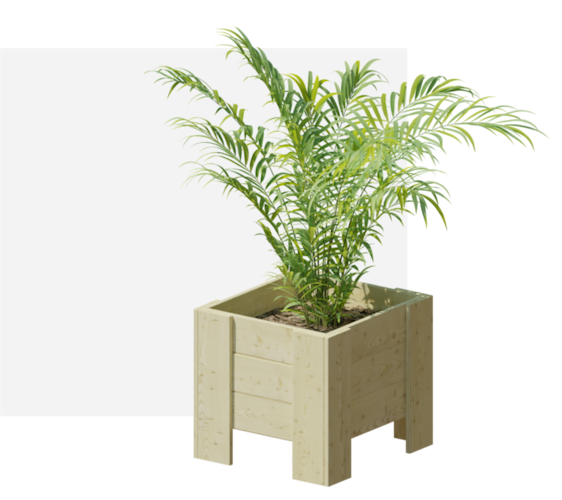 Ante Pflanzkübel B51 x T48 x H45 cm