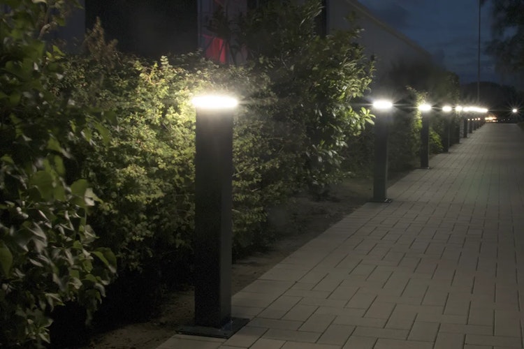 dz LED Zaunbeleuchtung - 60x60 - 7016