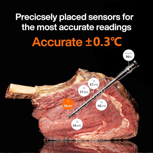 Typhur Grillthermometer SYNC One - 1 Thermometer