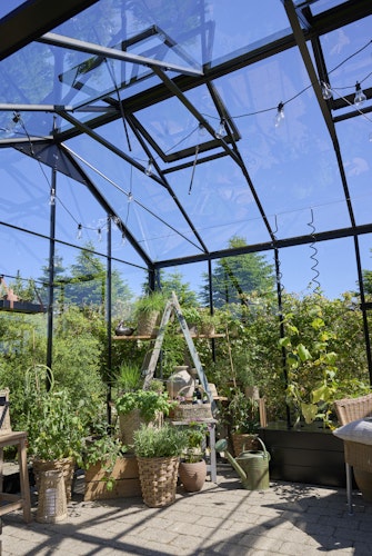 Juliana Gewächshaus Jubii 10,9 m² inkl. gratis Fundamentrahmen im Wert von 449 €