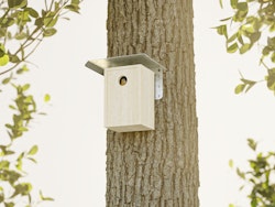 Alberts® Trapezschutzdach für Futterhäuser