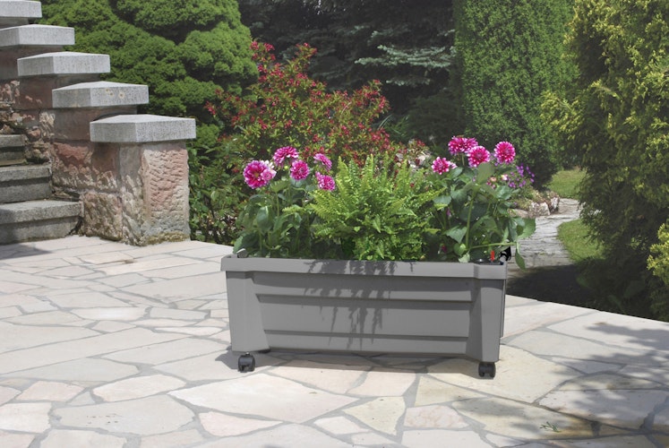 KHW Calypso Pflanzkasten auf Rollen mit Bewässerungssystem + modularem Spalier