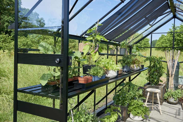 Halls Gewächshaus Blockley 8,1 m² / 9,7 m² / 11,3 m²  - Schwarz mit 3 mm Sicherheitsglas  inkl. integrierten Fundamentrahmen