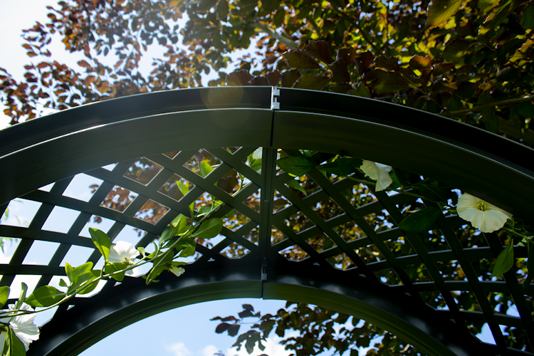 KHW Gartenbank Amsterdam mit Rosenbogen und Spalier