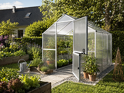 KGT Gewächshaus Callas Typ III