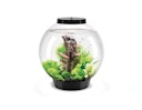 Vorschaubild BiOrb Aquarium CLASSIC 30 LED