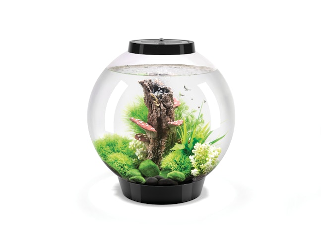 BiOrb Aquarium CLASSIC 30 LED