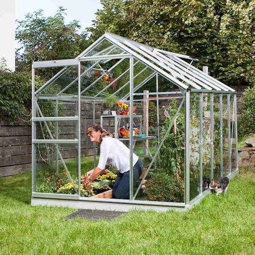 Vitavia Gewächshaus Venus 6200 inkl. 2 Dachfenstern - 6,2 m²