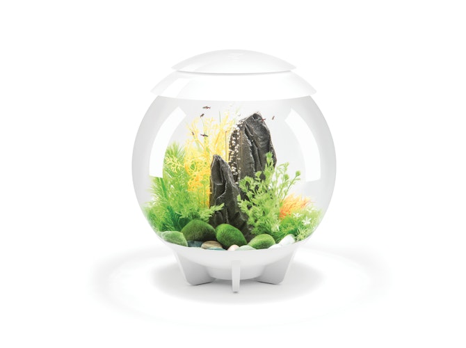 BiOrb Aquarium HALO 30 MCR
