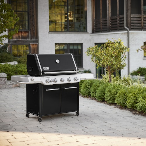 Weber Gasgrill SUMMIT FS38 E