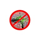 Vorschaubild NOOR Unkrautblocker Profirolle Schwarz 130 gr/m² 100% PP