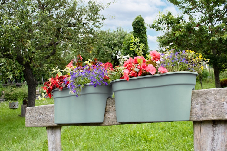 KHW Flowerclip XL, 2er Set